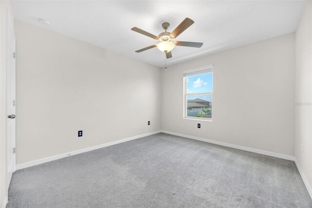 797 Olive Conch St, Ruskin, FL 33570 - photo 27