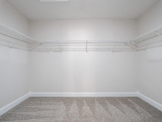 10084 Moss Rose Way, Orlando, FL 32832 - photo 13