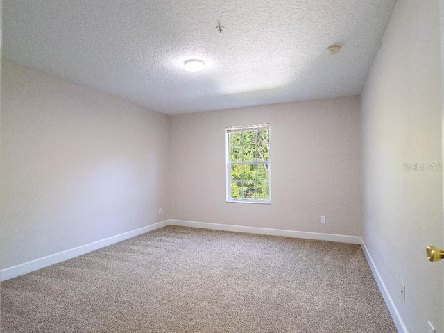 10084 Moss Rose Way, Orlando, FL 32832 - photo 17