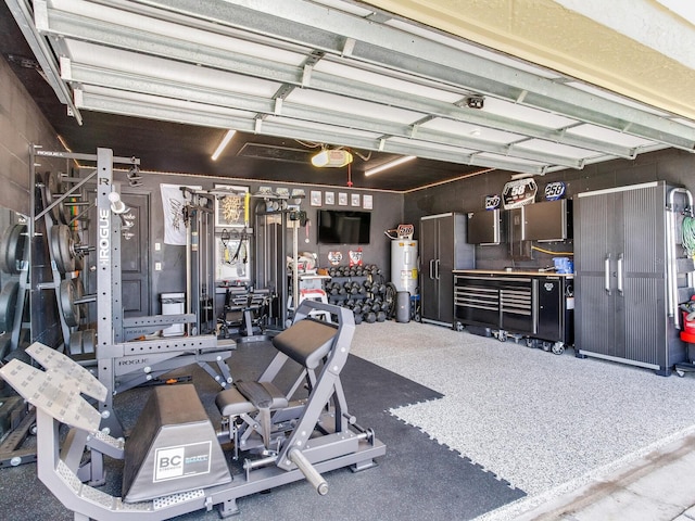 24811 Gun Smoke Dr, Land O Lakes, FL 34639 - garage featuring water heater and a garage door opener