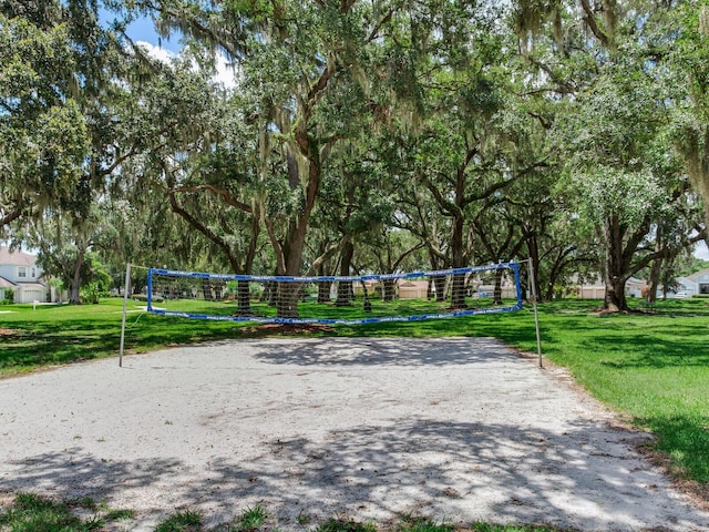 24811 Gun Smoke Dr, Land O Lakes, FL 34639 - view of community with a yard and volleyball court