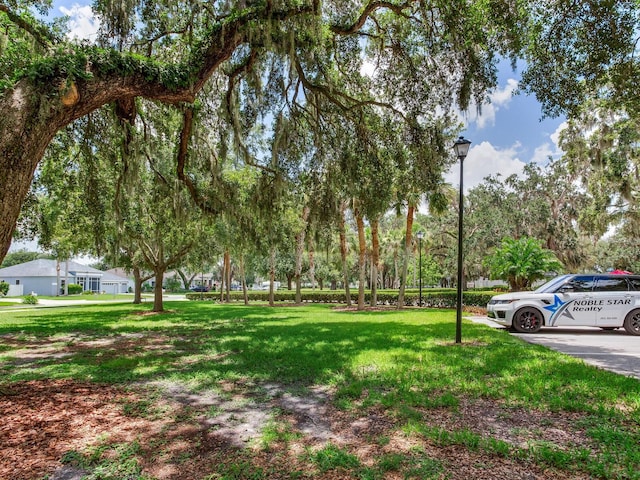 24811 Gun Smoke Dr, Land O Lakes, FL 34639 - view of green lawn
