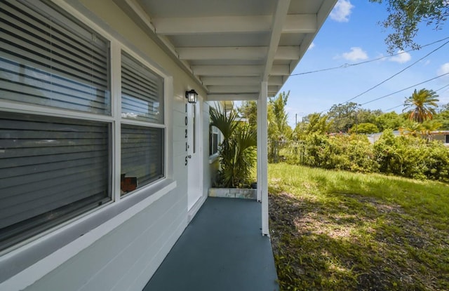 10215 N 23rd St, Tampa, FL 33612 - view of patio / terrace