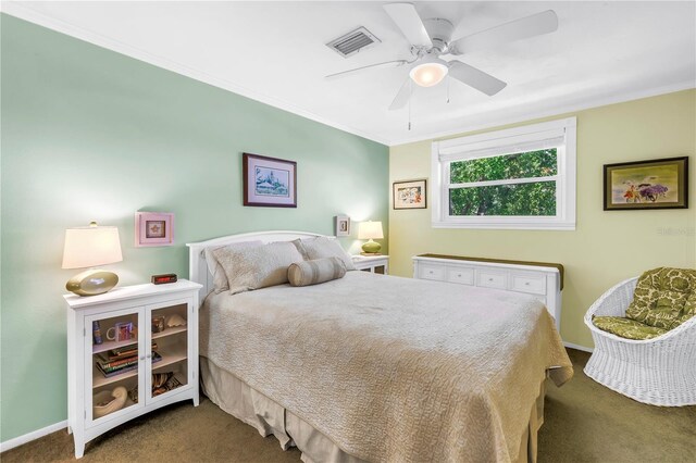 6505 Cedar St NE, Saint Petersburg, FL 33702 - photo 15
