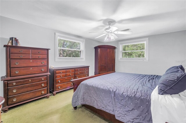 6505 Cedar St NE, Saint Petersburg, FL 33702 - photo 19