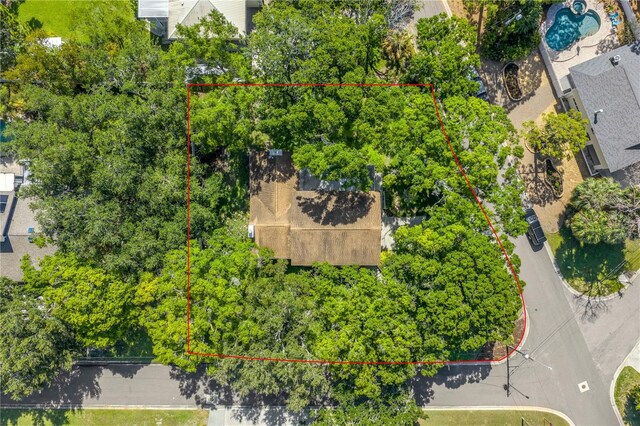 6505 Cedar St NE, Saint Petersburg, FL 33702 - photo 28