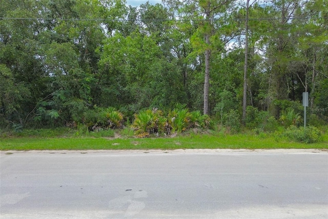 6859 W Merrivale Ln, Homosassa, FL 34446 - photo 2