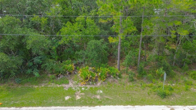 6859 W Merrivale Ln, Homosassa, FL 34446 - photo 3
