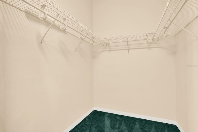13321 Lewis Raulerson Rd, Dover, FL 33527 - walk in closet with carpet