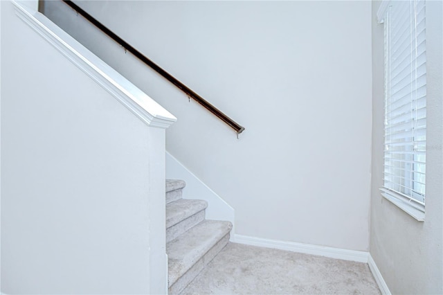 7077 Woodchase Glen Dr, Riverview, FL 33578 - stairs featuring carpet and baseboards