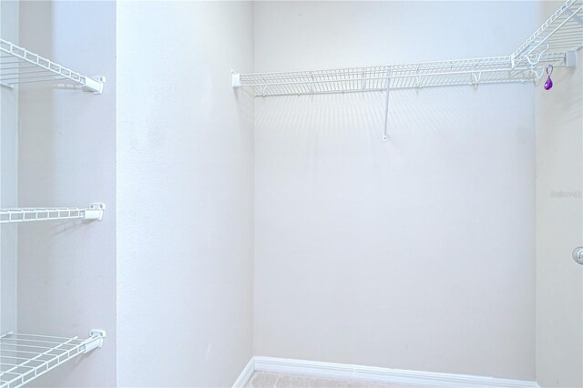 7077 Woodchase Glen Dr, Riverview, FL 33578 - view of spacious closet