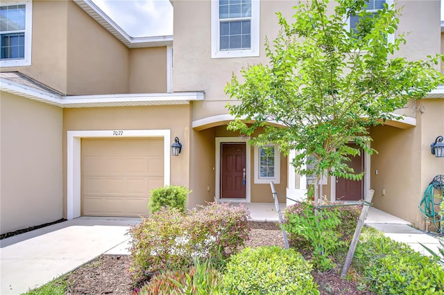 7077 Woodchase Glen Dr, Riverview, FL 33578 - view of exterior entry with stucco siding, concrete driveway, and a garage