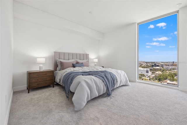 777 3rd Ave N Unit 1406, Saint Petersburg, FL 33701 - carpeted bedroom featuring floor to ceiling windows and baseboards