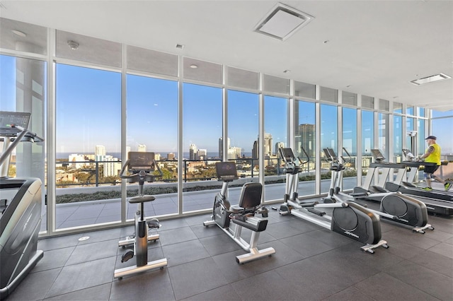 777 3rd Ave N Unit 1406, Saint Petersburg, FL 33701 - gym with expansive windows and a skyline view