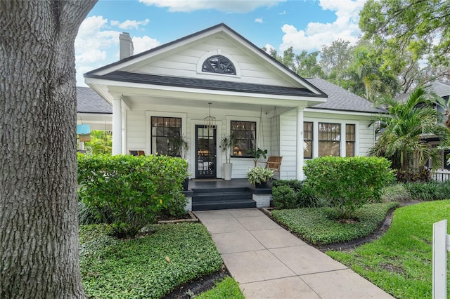 2412 W Prospect Rd, Tampa, FL 33629 - photo 2
