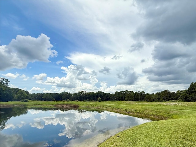 10636 Millriver Dr, New Port Richey, FL 34654 - water view featuring a heavily wooded area