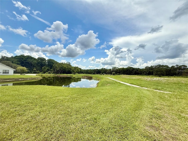 10636 Millriver Dr, New Port Richey, FL 34654 - view of grassy yard with a water view