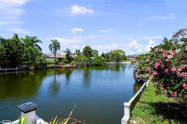 8718 Tahiti Ln, Tampa, FL 33615 - photo 33