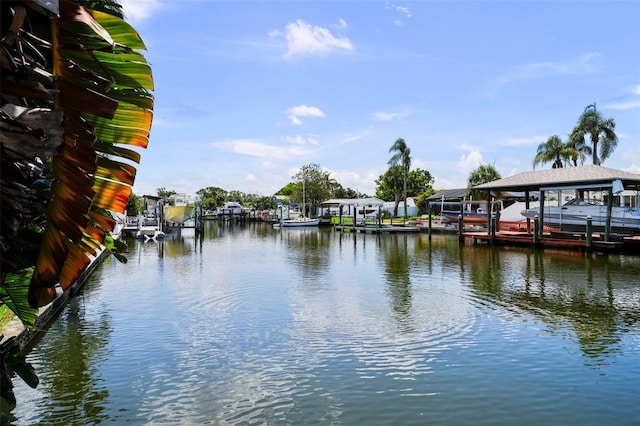 8718 Tahiti Ln, Tampa, FL 33615 - photo 36