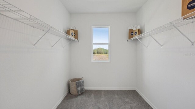 36187 Sunflower Hill Dr, Zephyrhills, FL 33541 - photo 26