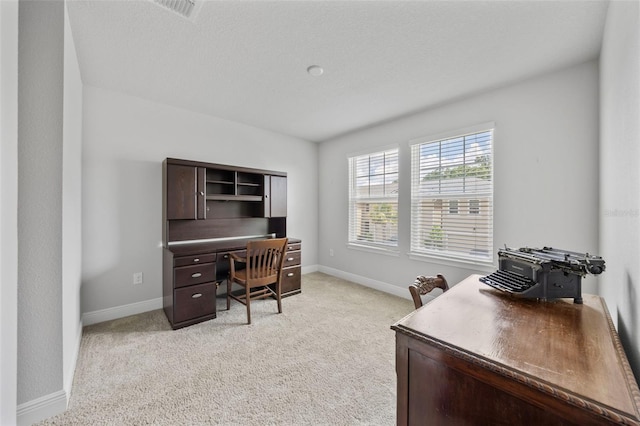 5813 Grand Sonata Ave, Lutz, FL 33558 - office featuring light carpet