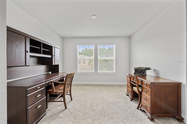 5813 Grand Sonata Ave, Lutz, FL 33558 - office area with light colored carpet and a textured ceiling