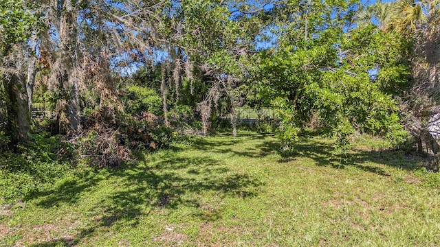 611 Elm St, Safety Harbor, FL 34695