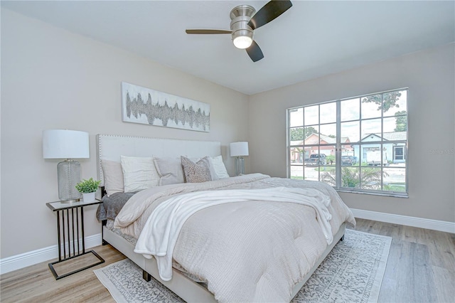 6720 Gilda Dr, Tampa, FL 33625 - bedroom featuring light wood finished floors and ceiling fan