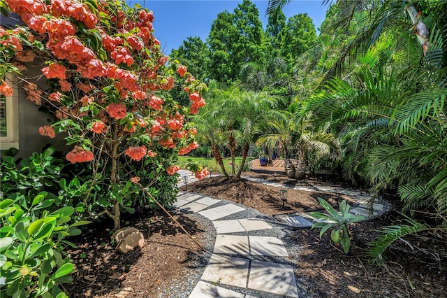 4096 38th St S, Saint Petersburg, FL 33711 - view of yard