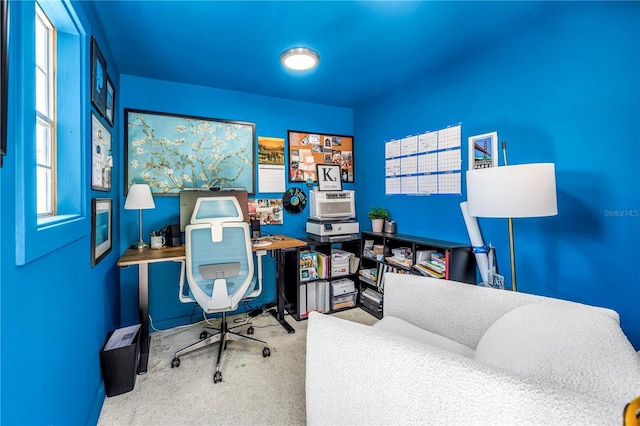 4096 38th St S, Saint Petersburg, FL 33711 - office space with carpet floors