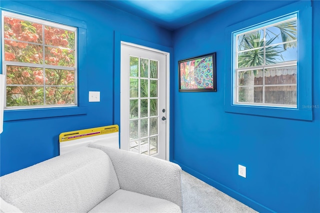 4096 38th St S, Saint Petersburg, FL 33711 - doorway featuring carpet floors