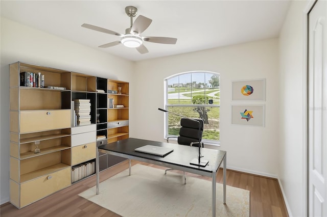 818 Cherry Laurel St, Minneola, FL 34715 - office space featuring wood finished floors and a ceiling fan