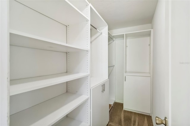 818 Cherry Laurel St, Minneola, FL 34715 - walk in closet featuring dark colored carpet