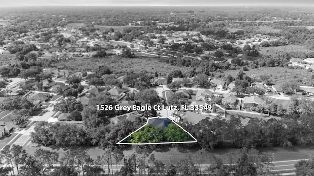 1526 Grey Eagle Ct, Lutz, FL 33549 - photo 60