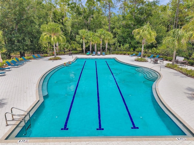18144 Frame Bnd, Land O Lakes, FL 34638 - community pool with view of wooded area and a patio area