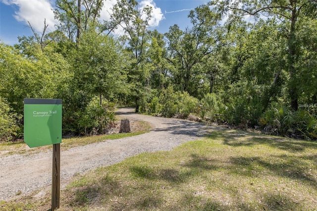18144 Frame Bnd, Land O Lakes, FL 34638 - view of street