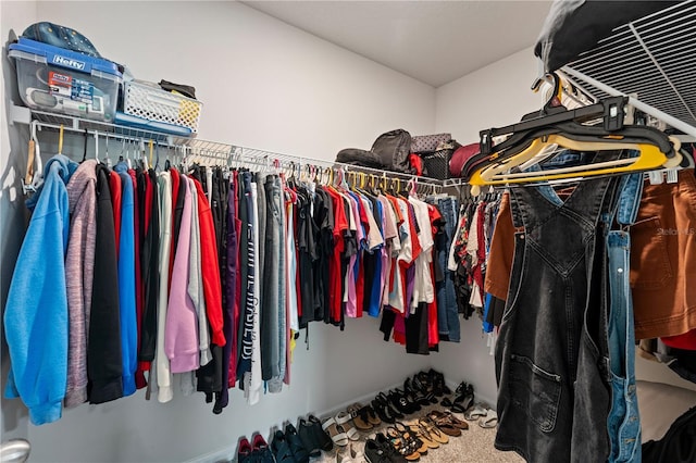 39024 Harlow Rose Dr, Zephyrhills, FL 33540 - view of walk in closet