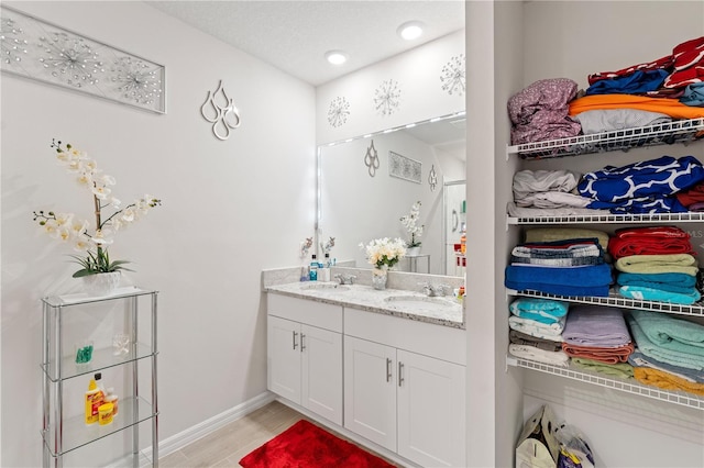 39024 Harlow Rose Dr, Zephyrhills, FL 33540 - full bath featuring double vanity and baseboards