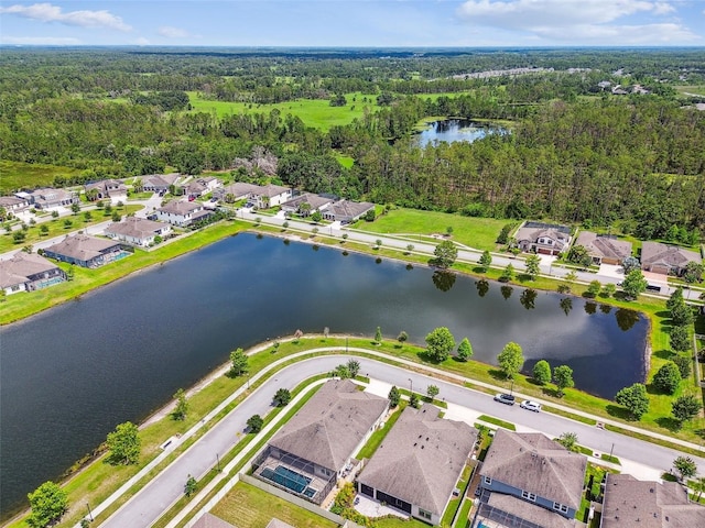 21837 Briske Morning Ave, Land O Lakes, FL 34637 - photo 74
