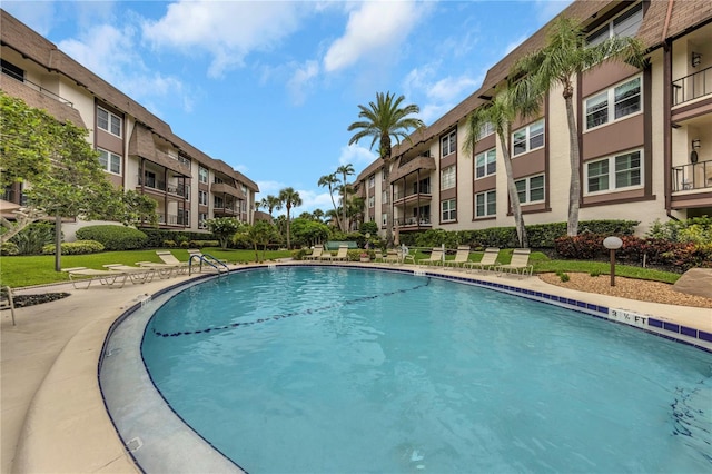 3035 Countryside Blvd Unit 16B, Clearwater, FL 33761 - community pool featuring a lawn