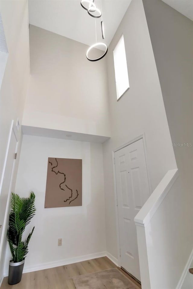 2923 W Gandy Blvd Unit 2923, Tampa, FL 33611 - photo 8