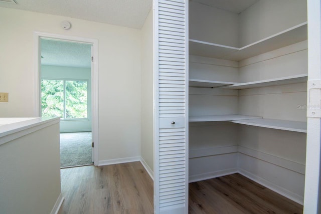 2923 W Gandy Blvd Unit 2923, Tampa, FL 33611 - photo 35