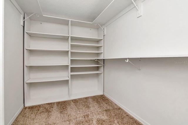 2923 W Gandy Blvd Unit 2923, Tampa, FL 33611 - photo 28