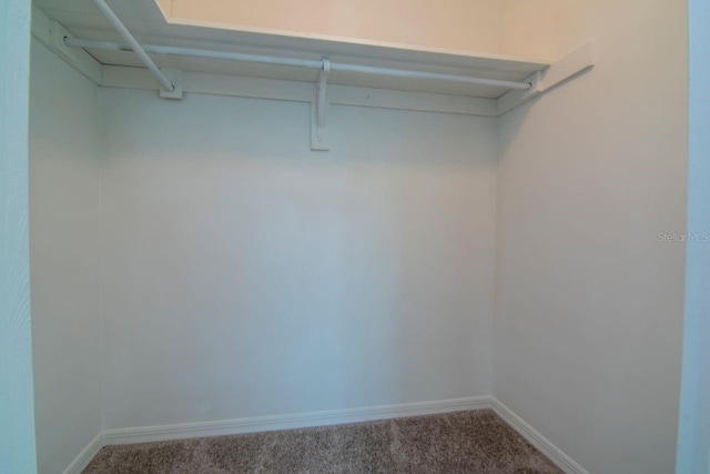 2923 W Gandy Blvd Unit 2923, Tampa, FL 33611 - photo 34