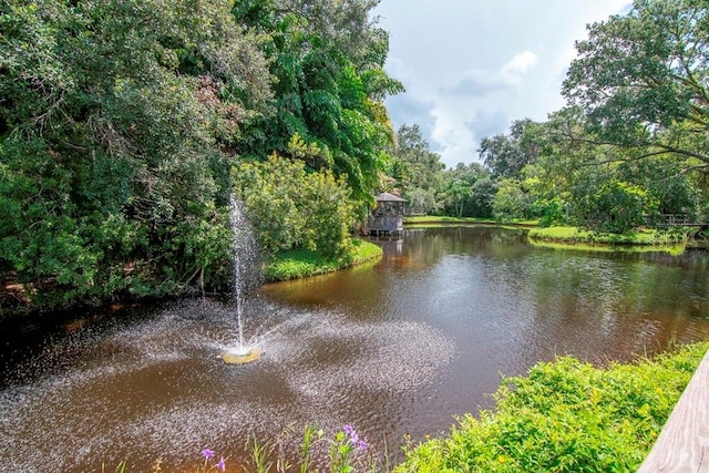 2923 W Gandy Blvd Unit 2923, Tampa, FL 33611 - photo 41