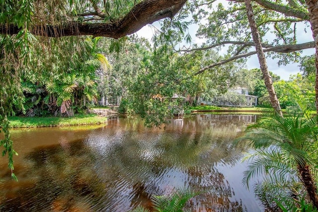 2923 W Gandy Blvd Unit 2923, Tampa, FL 33611 - photo 43