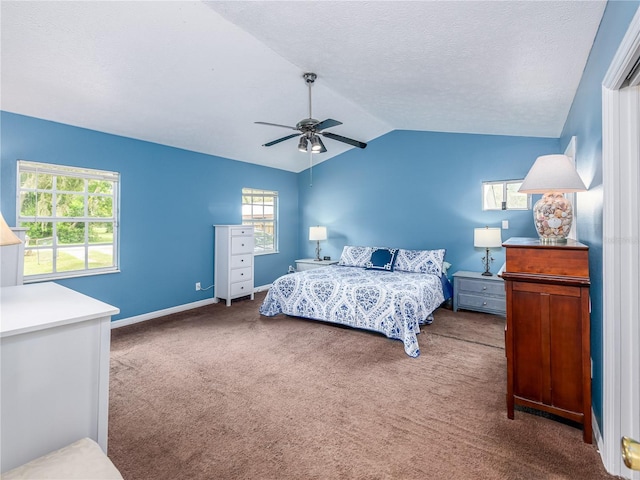 11704 Orange Grove Ter, Riverview, FL 33569 - carpeted bedroom with vaulted ceiling, ceiling fan, and a textured ceiling