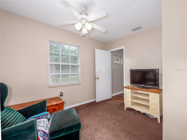 11704 Orange Grove Ter, Riverview, FL 33569 - sitting room with carpet flooring and ceiling fan