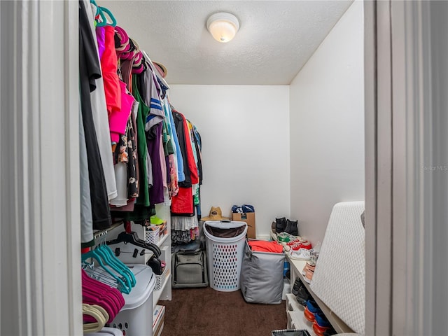 11704 Orange Grove Ter, Riverview, FL 33569 - walk in closet with carpet floors