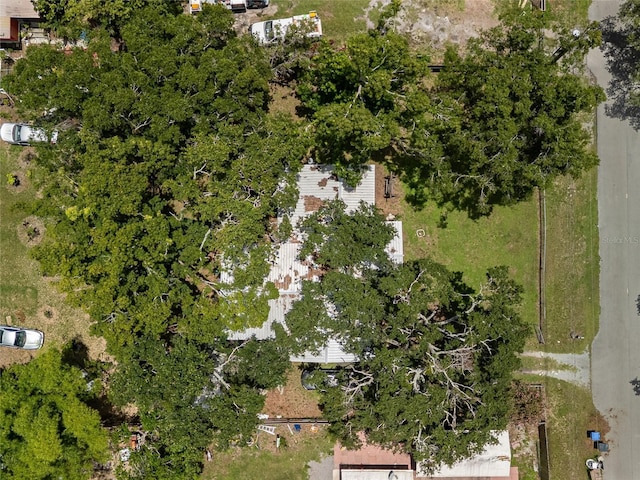 11704 Orange Grove Ter, Riverview, FL 33569 - view of property location